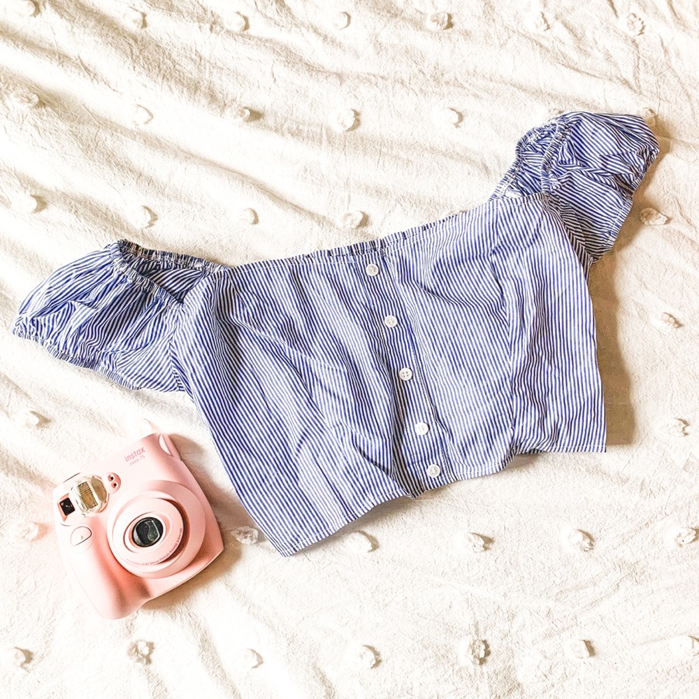 Reformation Blue Striped Crop Top